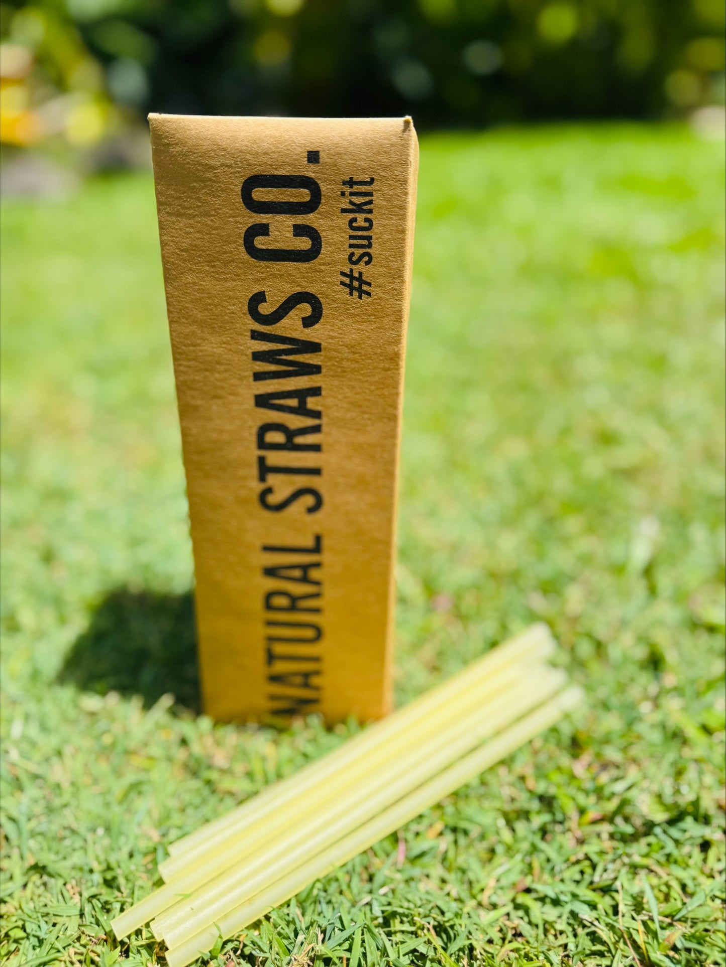 Natural Rice Pasta Straws DRINKING - Yellow BULK 100 PACK 6mm x 200mm