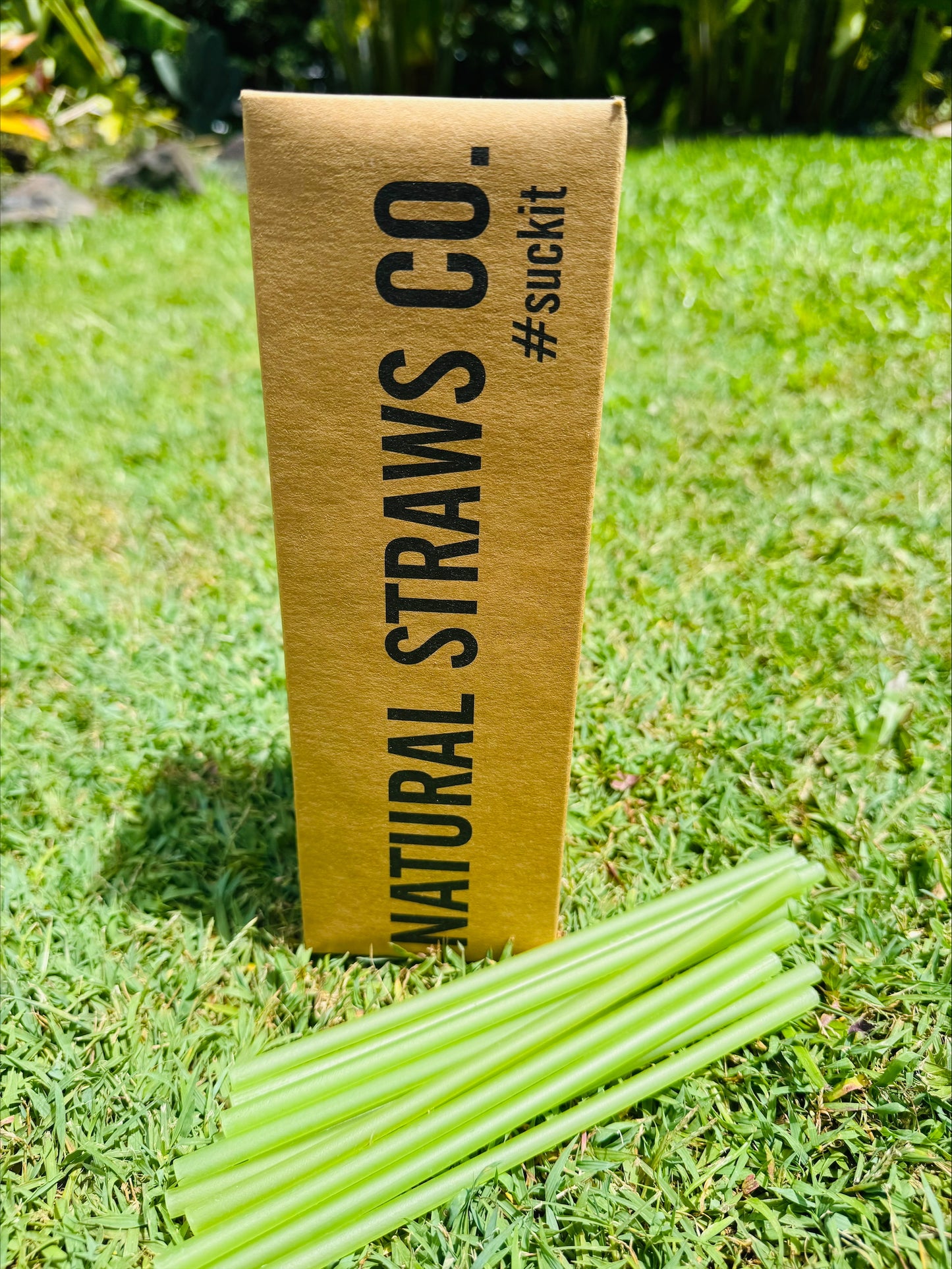 Natural Rice Pasta Straws DRINKING - Green BULK 100 PACK 6mm x 200mm