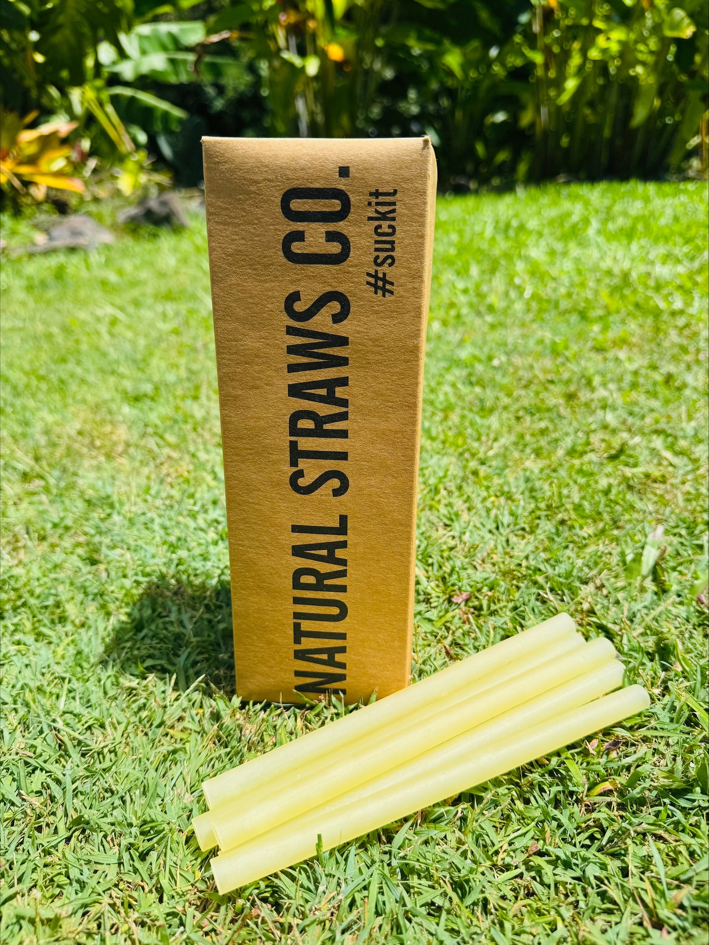 Natural Rice Pasta Straws SMOOTHIE - Yellow BULK 25 PACK 12mm x 200mm