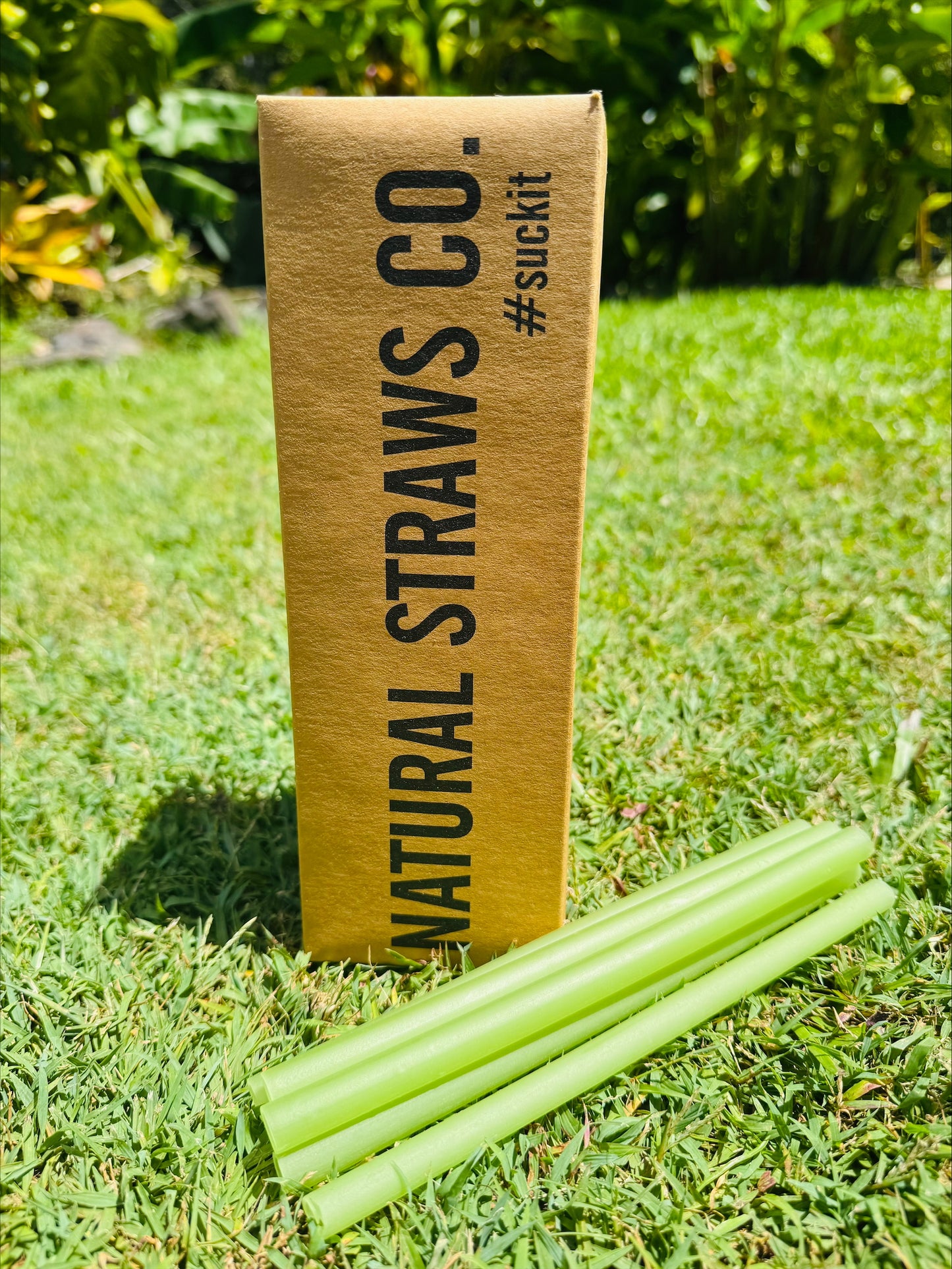 Natural Rice Pasta Straws SMOOTHIE- Green (25 Pack) 6mm x 200mm